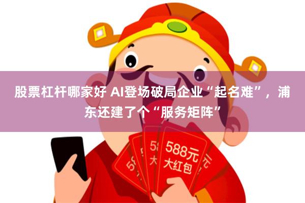 股票杠杆哪家好 AI登场破局企业“起名难”，浦东还建了个“服务矩阵”