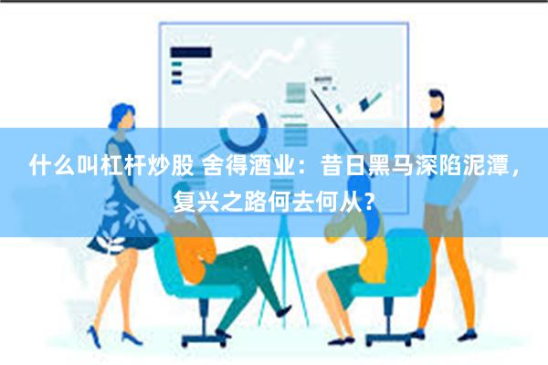 什么叫杠杆炒股 舍得酒业：昔日黑马深陷泥潭，复兴之路何去何从？