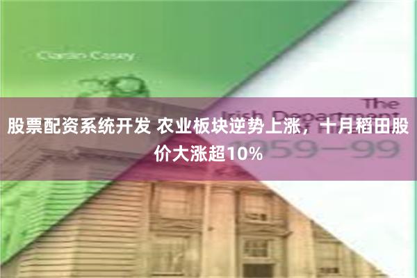 股票配资系统开发 农业板块逆势上涨，十月稻田股价大涨超10%