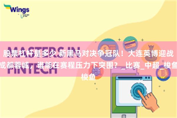 股票杠杆是多少 新黑马对决争冠队！大连英博迎战成都蓉城，谁能在赛程压力下突围？_比赛_中超_梭鱼