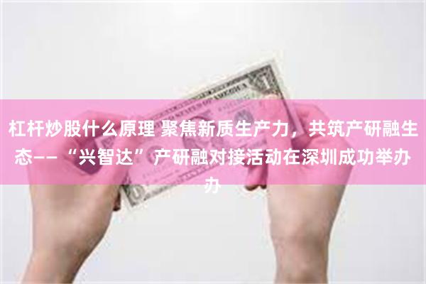 杠杆炒股什么原理 聚焦新质生产力，共筑产研融生态—— “兴智达” 产研融对接活动在深圳成功举办