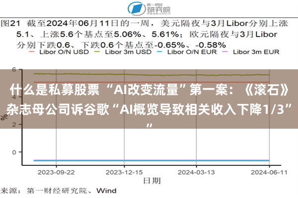 什么是私募股票 “AI改变流量”第一案：《滚石》杂志母公司诉谷歌“AI概览导致相关收入下降1/3”