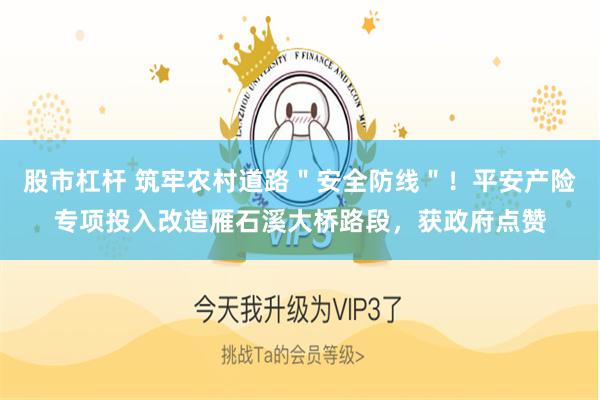 股市杠杆 筑牢农村道路"安全防线"!平安产险专项投入改造雁石溪大桥路段,获政府点赞